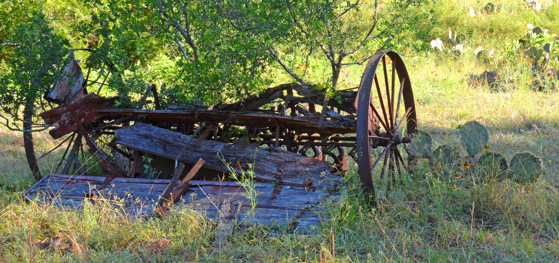 Old Wagon